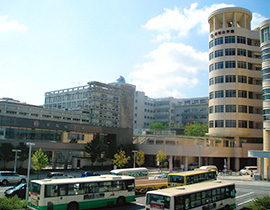 帝塚山大学