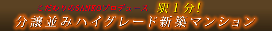 ハイグレード新築賃貸マンション