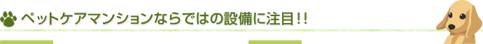 ペットケアマンションならではの設備に注目！！
