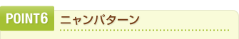 POINT6　ニャンパターン