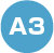 A3