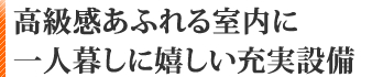 高級感溢れる室内に。一人暮らしに充実設備