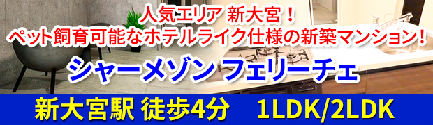 近鉄新大宮駅 徒歩4分 新築シャーメゾン賃貸「シャーメゾン フェリーチェ」1LDK/2LDK