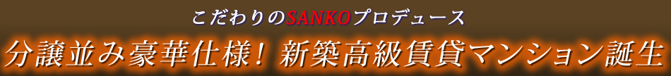 ハイグレード新築賃貸マンション