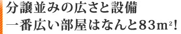 分譲並みの広さと設備